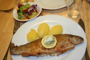 Forelle Müllerin Art mit Salzkartoffeln, Salat und brauner Butter